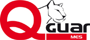 Qguar MES logo JPG 180 px
