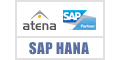 ATENA SAP PARTNER