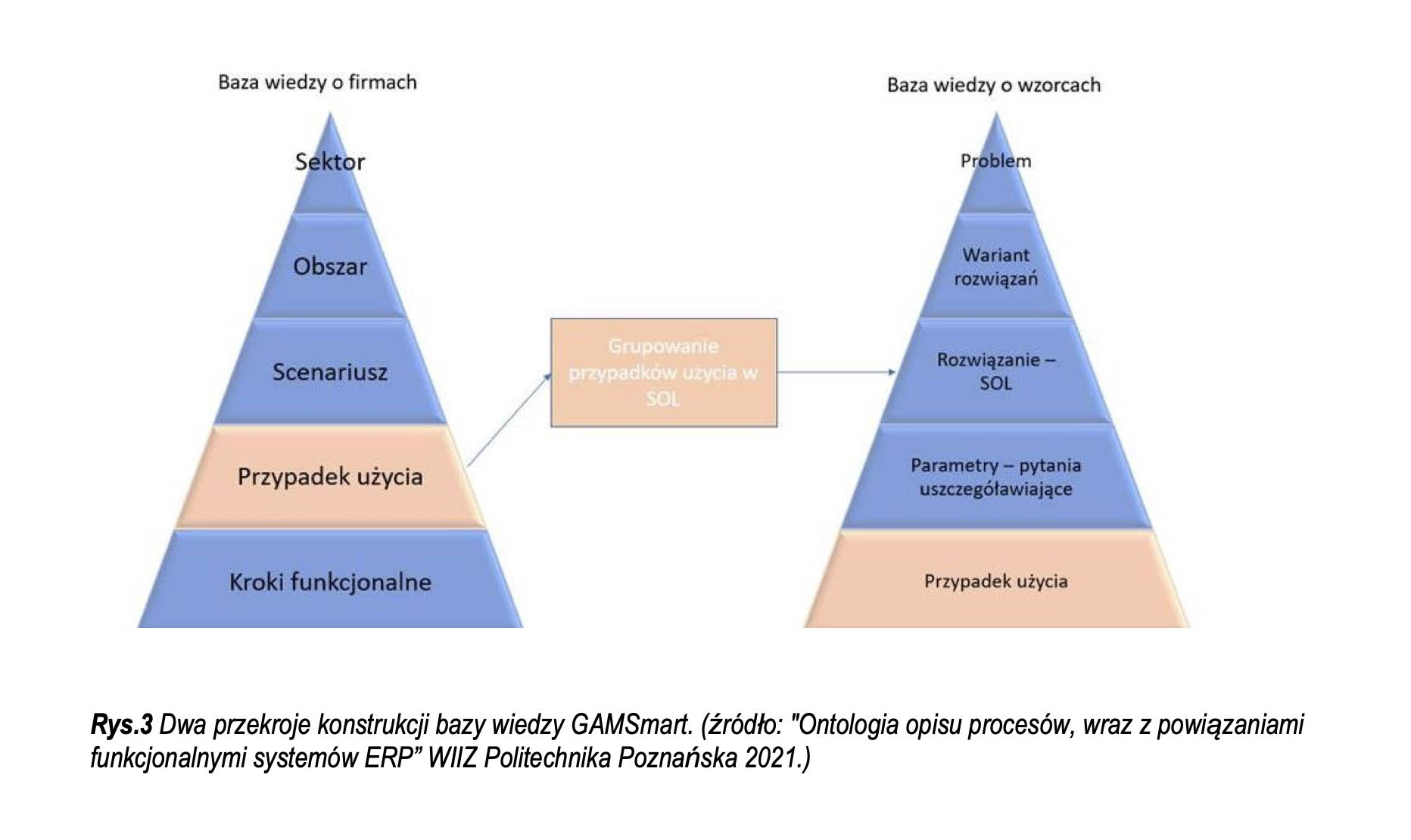 rys3 Dwa przekroje konstrukcji bazy wiedzy GAMSmart
