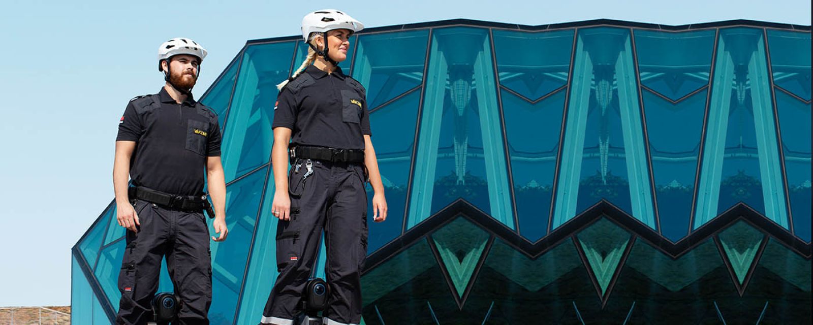 Zwiększenie efektywności w obszarze analizy danych z HR Qlik Sense w Securitas Polska