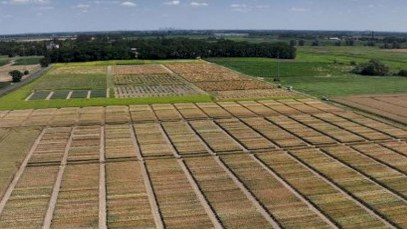 Jak SyKOF HR wspiera instytucje naukowe na przykładzie IHAR-PIB