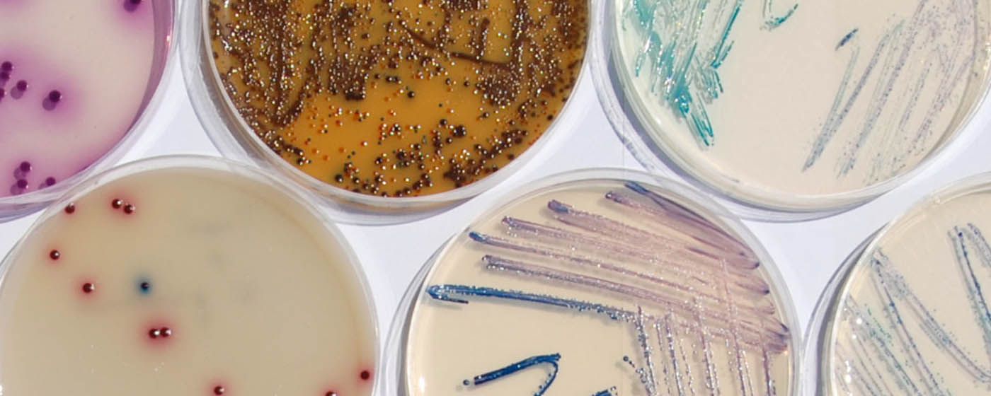 index.php?option=com_content&view=article&id=29067&catid=134&Itemid=845