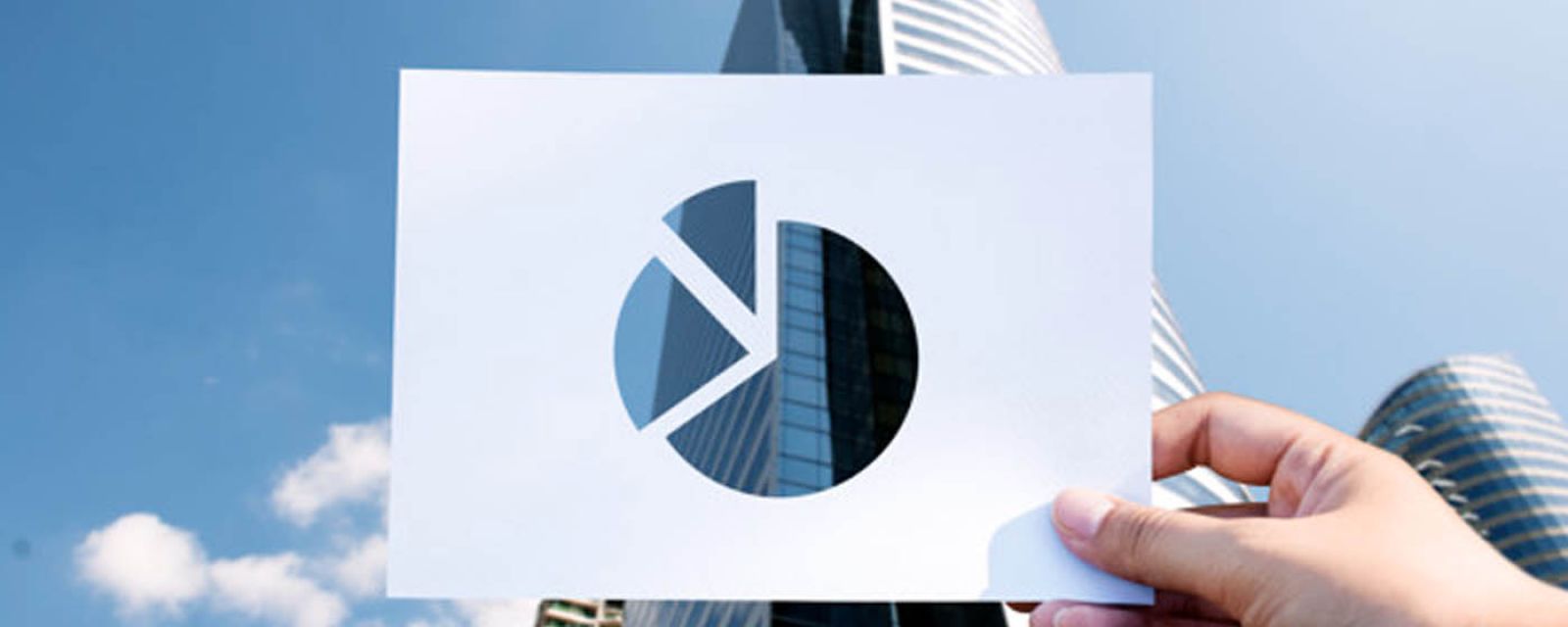 Po raz pierwszy polska firma ma ponad 20 procent rynku ERP