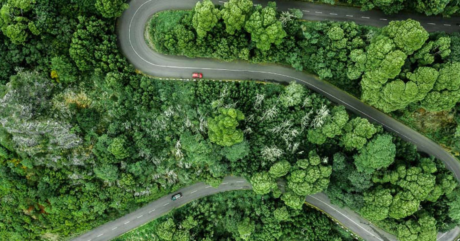 Czy IT może być ekologiczne?