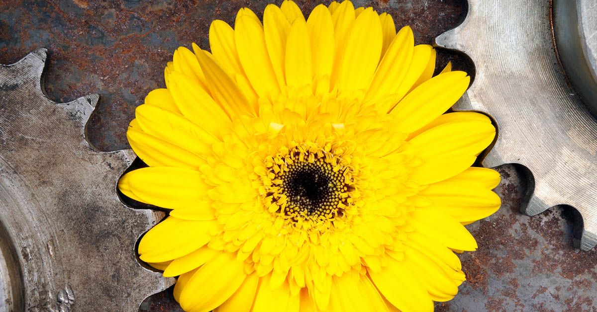 index.php?option=com_content&view=article&id=30141&catid=150&Itemid=1102