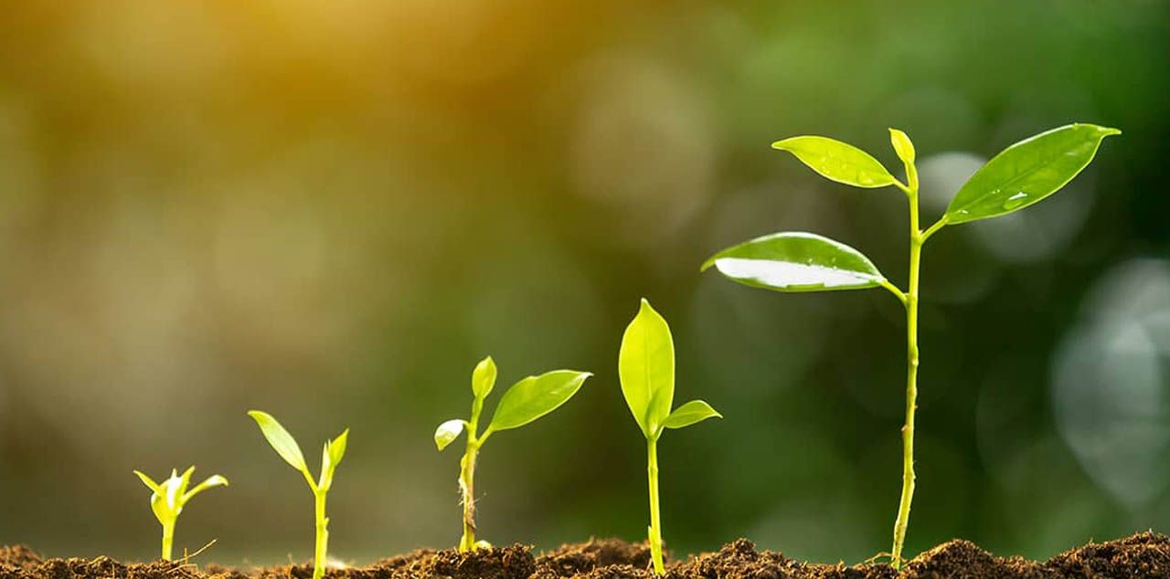 index.php?option=com_content&view=article&id=29209&catid=150&Itemid=1102