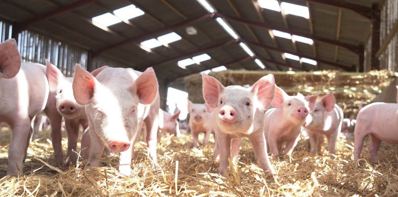 index.php?option=com_content&view=article&id=30368&catid=134&Itemid=845