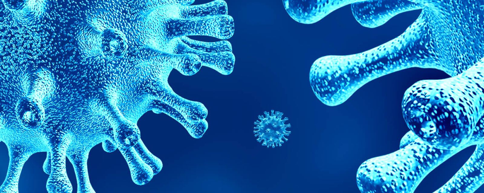 Wpływ koronawirusa SARS-CoV-2 na polską gospodarkę