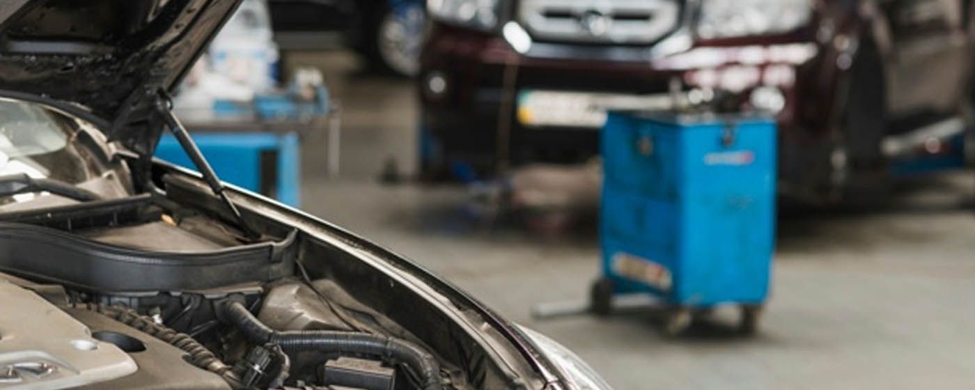 index.php?option=com_content&view=article&id=28529&catid=173&Itemid=1398