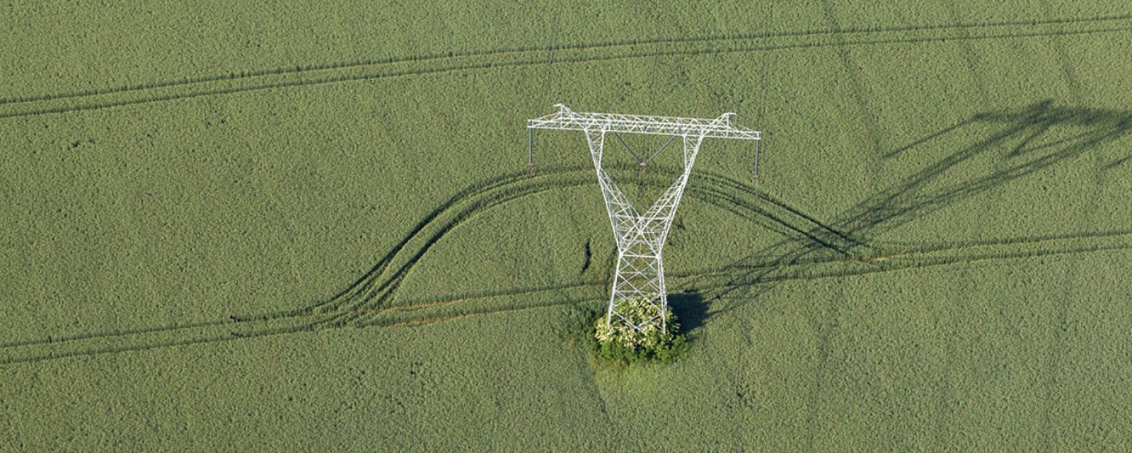 Elektronizacja procesów w energetyce z nowoczesnym systemem HR