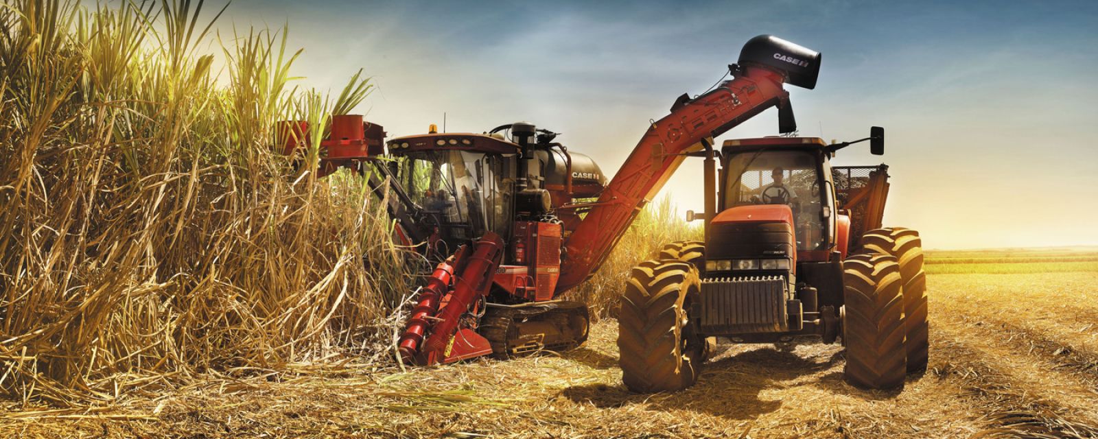 CNH Industrial walczy z suszą przy wsparciu Infor ERP redukcji kastomizacji w ERP?