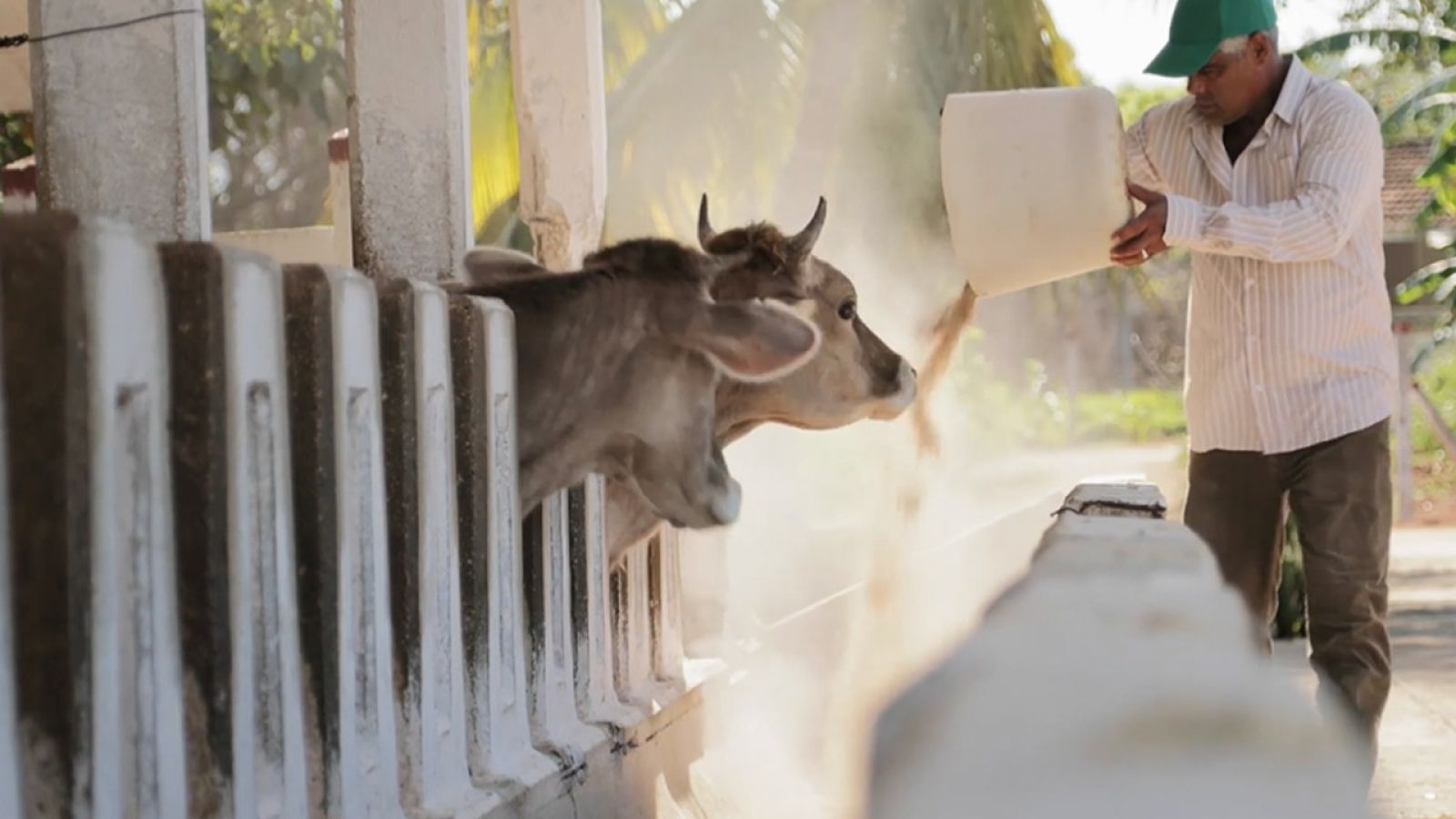 Infor wspomaga strategię cyfrową Nutreco