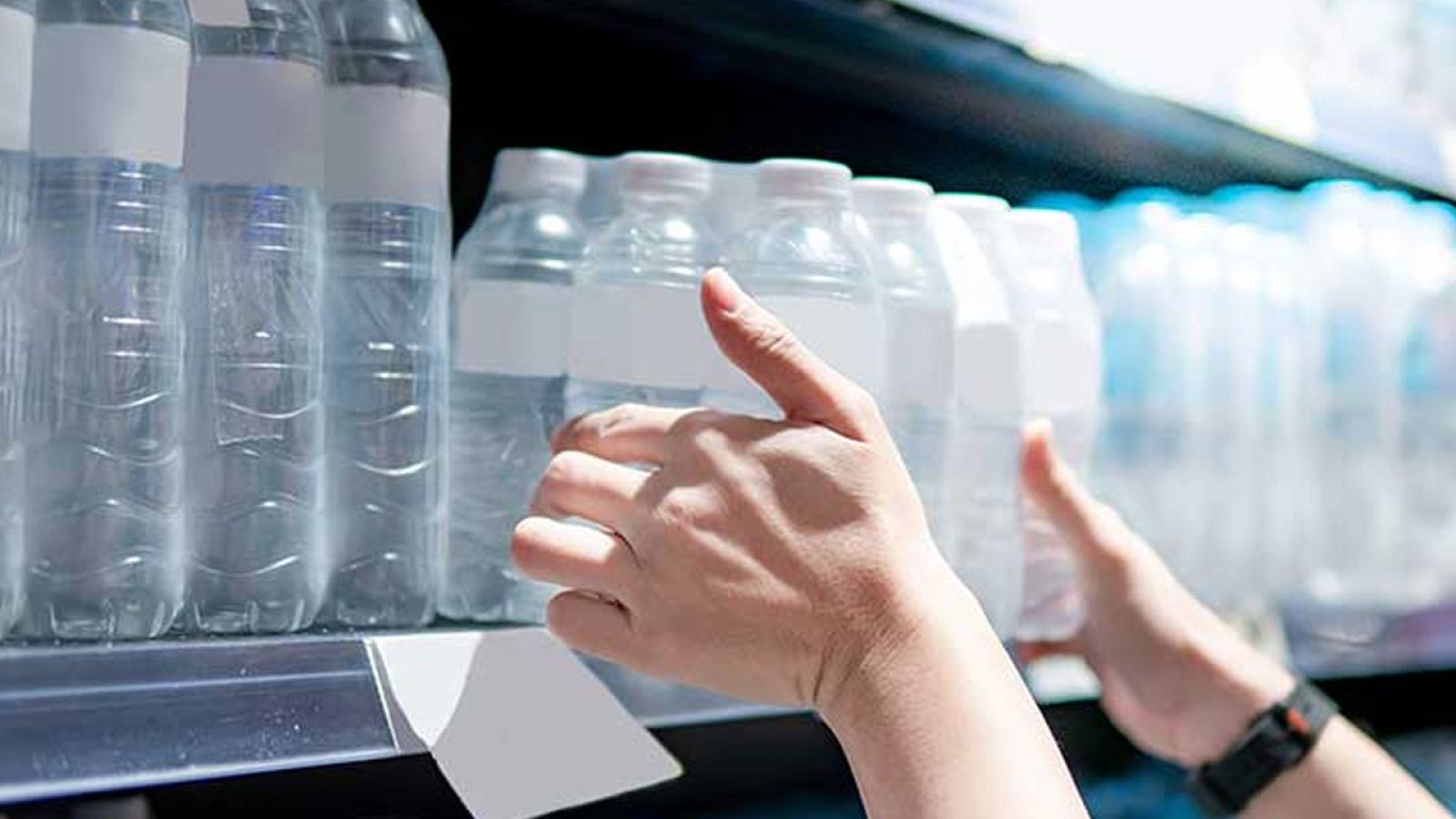 IT.integro wdrożyło Microsoft Dynamics 365 Business Central w firmie handlowo-dystrybucyjnej Bernard