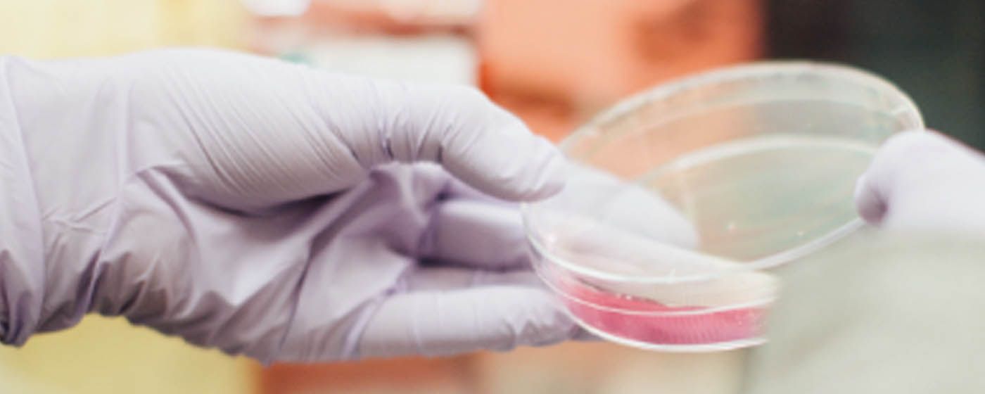 index.php?option=com_content&view=article&id=28538&catid=136&Itemid=1382