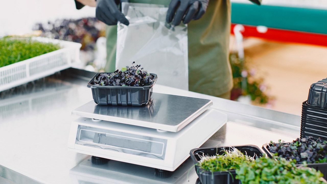 index.php?option=com_content&view=article&id=31113&catid=134&Itemid=845