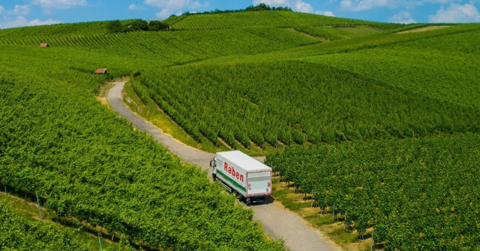 Transformacja HR w praktyce, czyli dlaczego Grupa Raben zdecydowała się na nowy system HR?