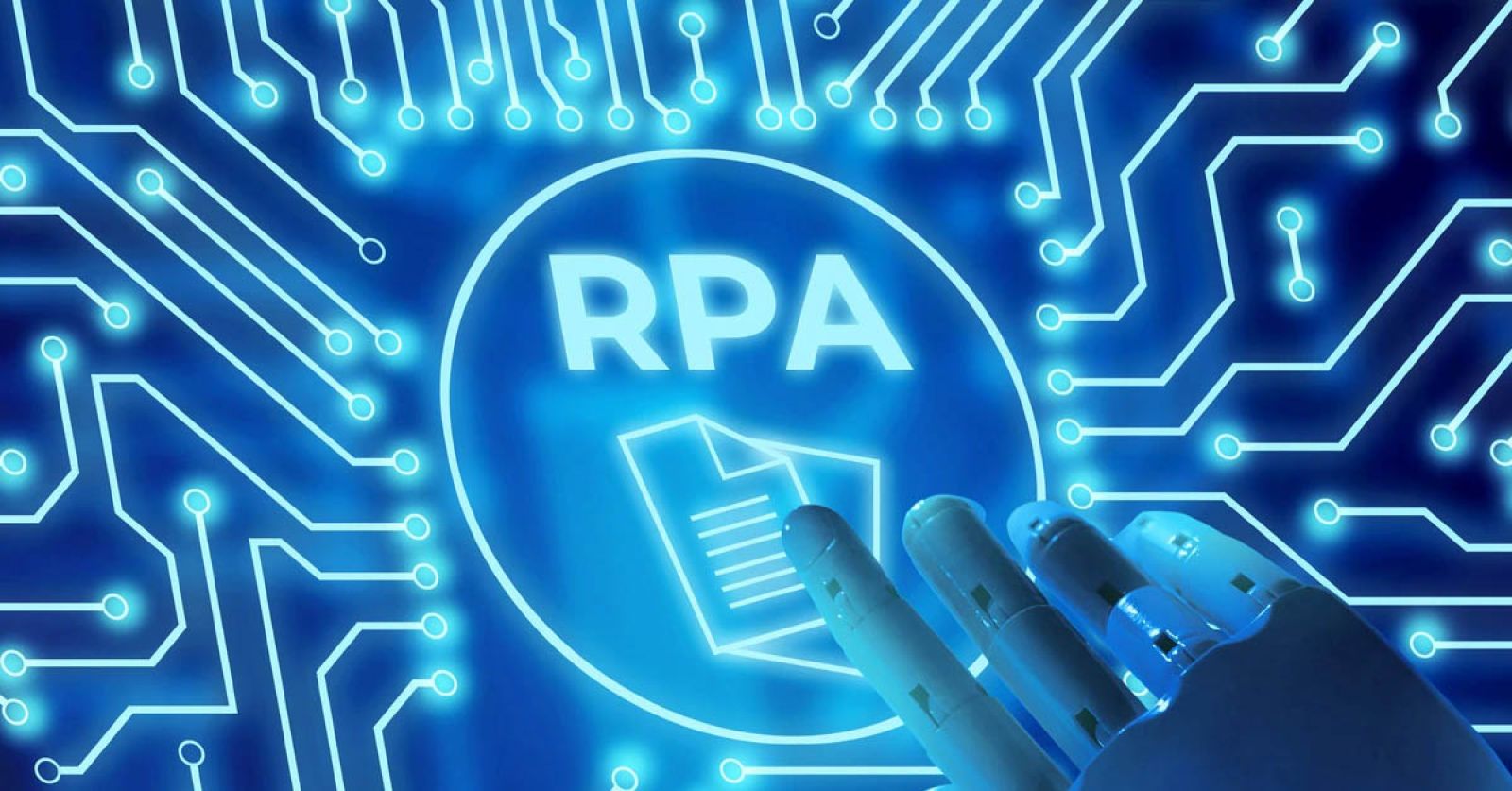 75% państw do 2024 roku zatrudni roboty  do pracy w administracji