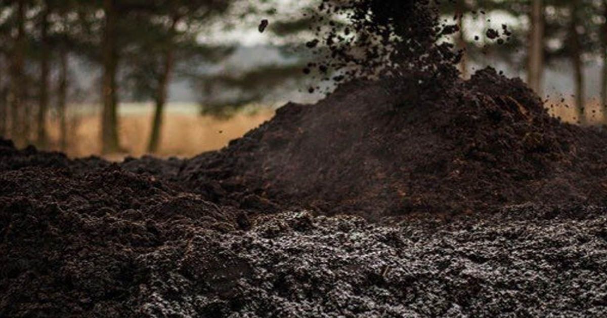 Planowanie produkcji przy dużej różnorodności rodzajów produktów   i formatów opakowań na przykładzie Torf Corporation